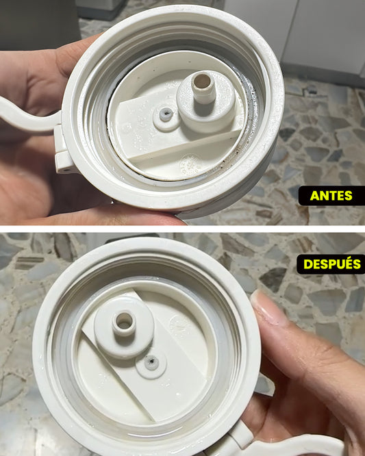 DESINFECTANTE PARA TERMOS